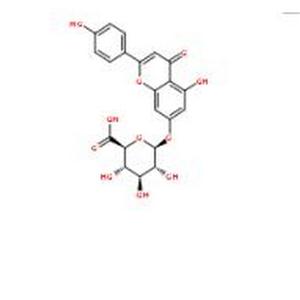 芹菜素-7-O-葡萄糖醛酸苷,Apigenin 7-glucuronide