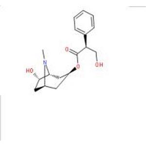 消旋山莨菪碱,Racanisodamine