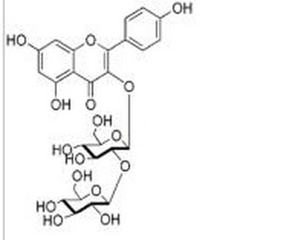 山奈酚-3-O-槐糖苷,Kaempferol-3-O-sophoroside