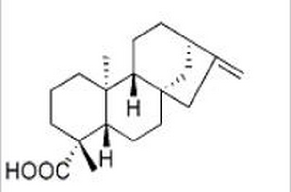 异贝壳杉烯酸,Kaurenoic acid