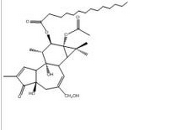 伏波醇-12-十四烷酸酯-13-乙酸酯,12-O-tetradecanoyl phorbol-13-acetate