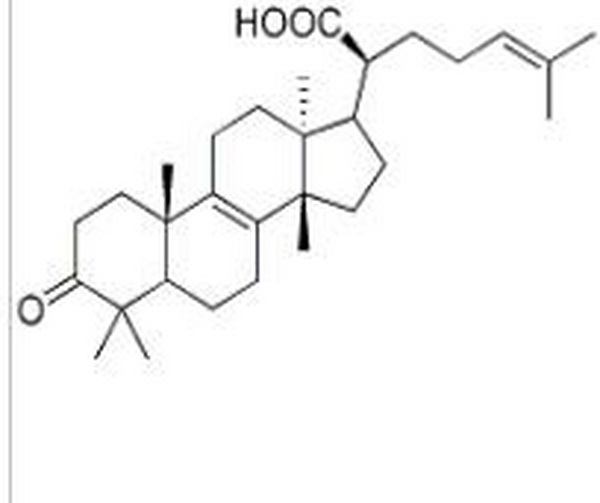 β-榄香酮酸,β-demonic acid