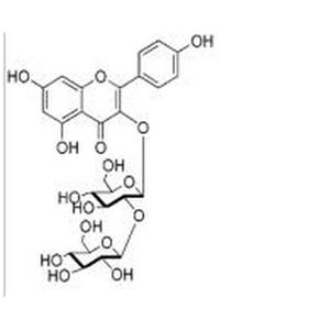山奈酚-3-O-槐糖苷