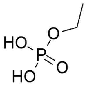 磷酸肌酸钠杂质16,Creatine Phosphate Sodium Impurity 16