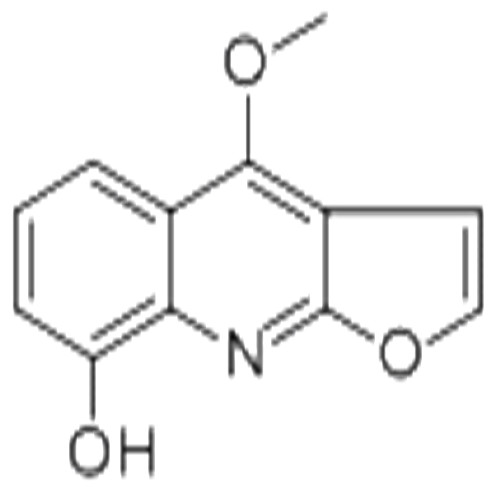 Robustine,Robustine