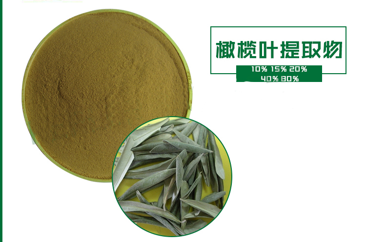 橄欖葉提取物,Olive Leaf Extract