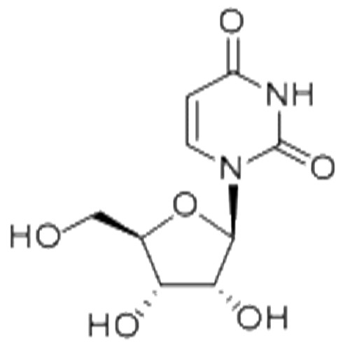 Uridine,Uridine