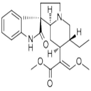 Rhynchophylline,Rhynchophylline