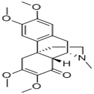 Isostephodeline,Isostephodeline