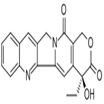 Camptothecin,Camptothecin