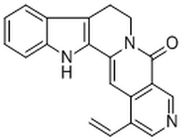 Angustine,Angustine