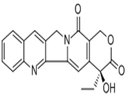 Camptothecin,Camptothecin