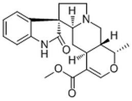 Isomitraphylline,Isomitraphylline