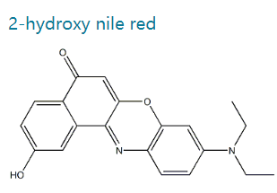 9-(二乙氨基)-2-羟基-5H-苯并[a]苯恶嗪-5-酮,5H-BENZO[A]PHENOXAZIN-5-ONE, 9-(DIETHYLAMINO)-2-HYDROXY-