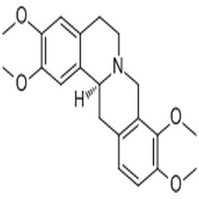 Tetrahydropalmatine,Tetrahydropalmatine