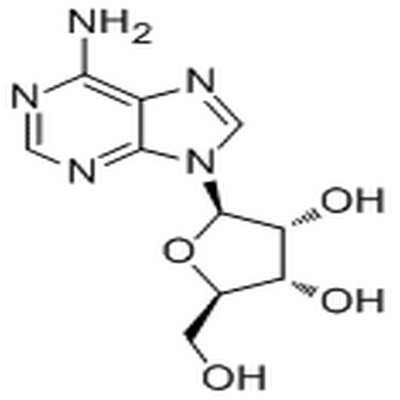 Adenosine,Adenosine