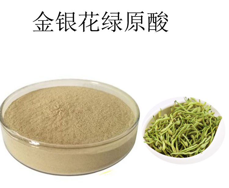 金銀花提取物,HoneySuchle Flowers Extract