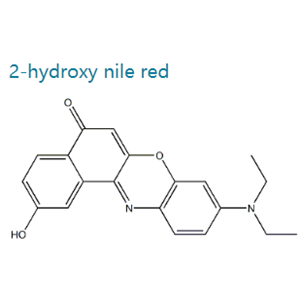 9-(二乙氨基)-2-羟基-5H-苯并[a]苯恶嗪-5-酮