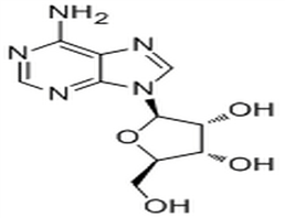 Adenosine,Adenosine