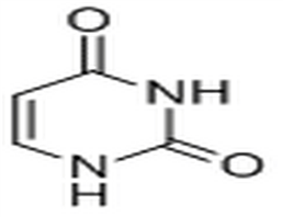 Uracil