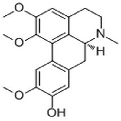 Lauroscholtzine,Lauroscholtzine