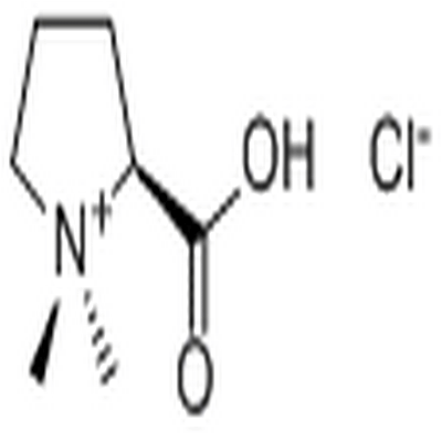 Stachydrine hydrochloride,Stachydrine hydrochloride