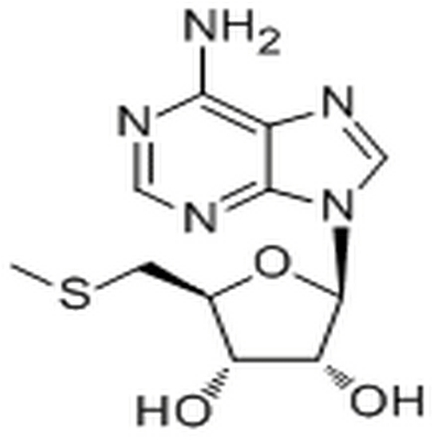 5'-S-Methyl-5'-thioadenosine,5'-S-Methyl-5'-thioadenosine