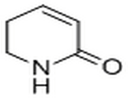 5,6-Dihydropyridin-2(1H)-one,5,6-Dihydropyridin-2(1H)-one