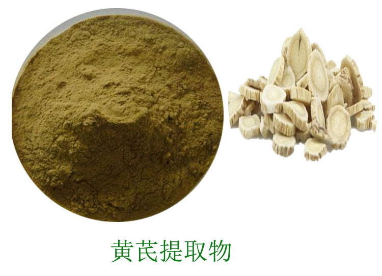 黃芪提取物,Astragalus Extract