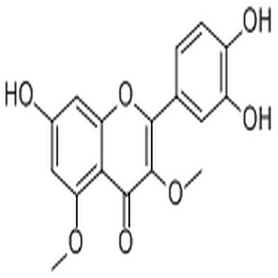 Caryatin,Caryatin