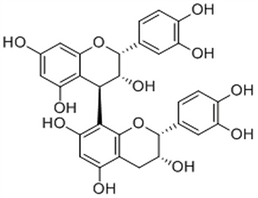 Procyanidin B2,Procyanidin B2