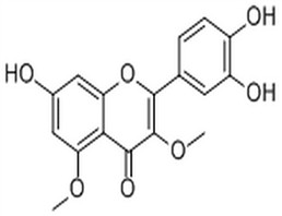 Caryatin