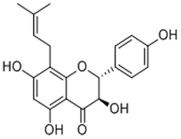 Neophellamuretin