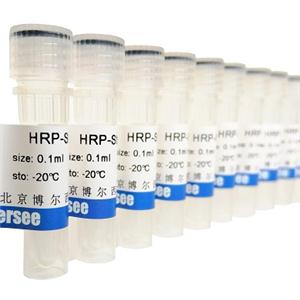 Anti-rat IgG, HRP-linked Antibody
