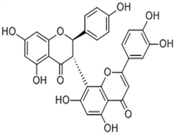 Morelloflavone