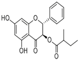 Pinobanksin 3-(2-methyl)butyrate,Pinobanksin 3-(2-methyl)butyrate