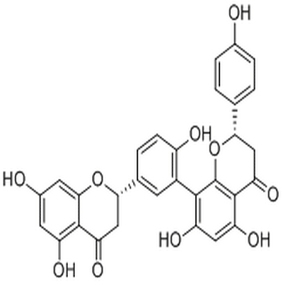 Tetrahydroamentoflavone,Tetrahydroamentoflavone