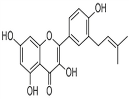 Isolicoflavonol