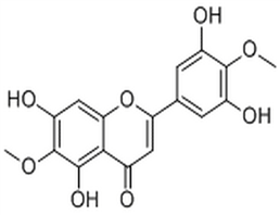 3',5,5',7-Tetrahydroxy-4',6-dimethoxyflavone