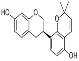 Erythbidin A