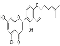 Sanggenon N