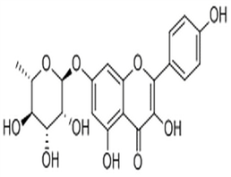 Kaempferol 7-O-rhamnoside,Kaempferol 7-O-rhamnoside