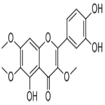 Chrysosplenol D,Chrysosplenol D