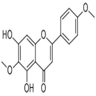 Pectolinarigenin,Pectolinarigenin