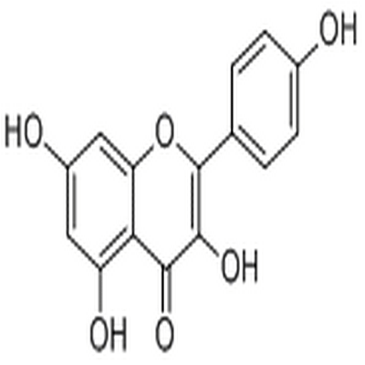 Kaempferol,Kaempferol