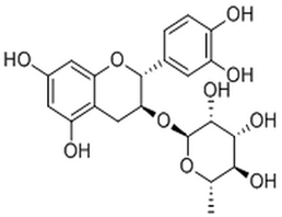 Catechin 3-rhamnoside,Catechin 3-rhamnoside