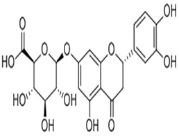 Eriodictyol 7-O-glucuronide