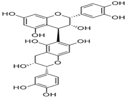 Procyanidin B5,Procyanidin B5