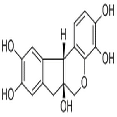 Hematoxylin,Hematoxylin