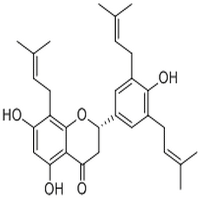 5-Hydroxysophoranone,5-Hydroxysophoranone